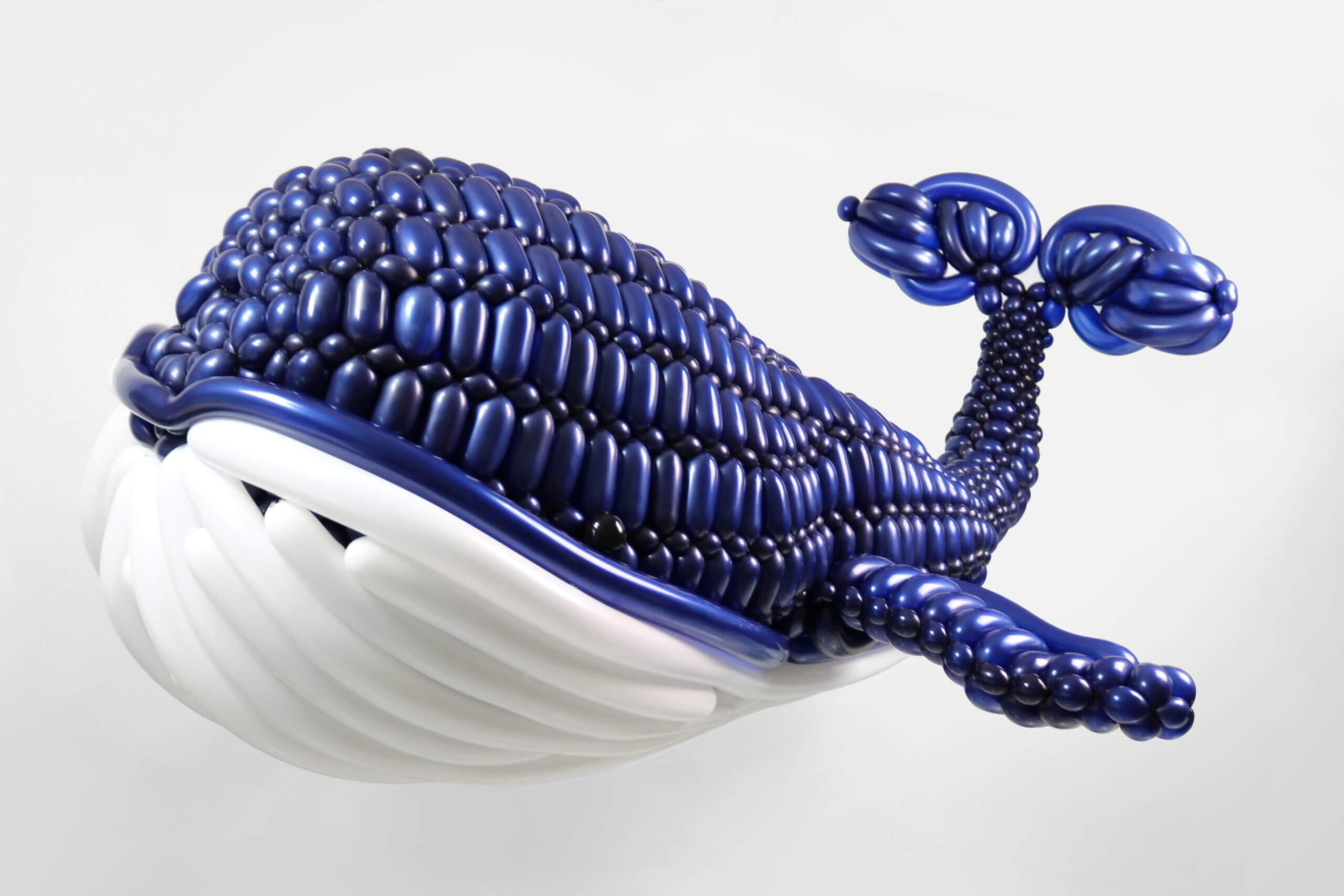 BigBalloonWhale