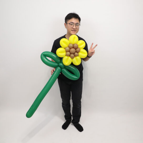 大向日葵氣球花：圖片 3